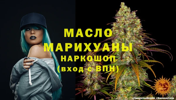 МДПВ Новодвинск