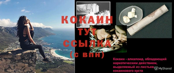 соль курить ск Новозыбков