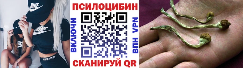 Псилоцибиновые грибы мицелий  Кирово-Чепецк 