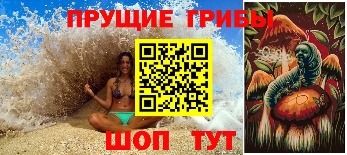 Кирово-Чепецк  Галлюциногенные грибы мицелий  наркошоп  Вход с VPN 